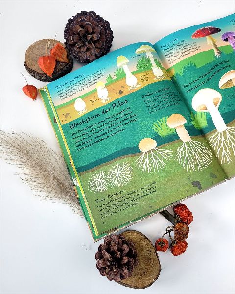 9783831044443 - Sample content