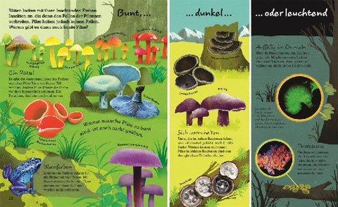 9783831044443 - Sample content