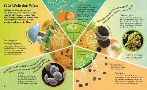 9783831044443 - Sample content