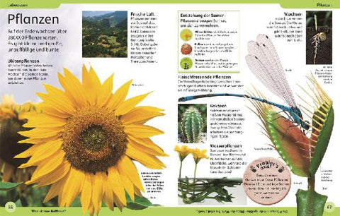 9783831044467 - Sample content