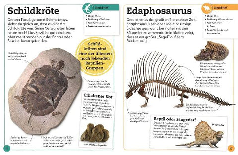 9783831044610 - Sample content