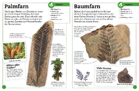 9783831044610 - Sample content