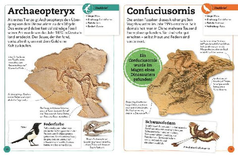 9783831044610 - Sample content