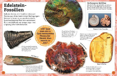 9783831044610 - Sample content