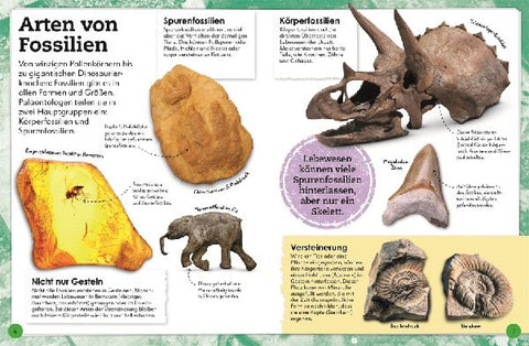 9783831044610 - Sample content