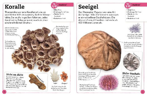 9783831044610 - Sample content