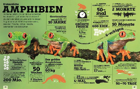 9783831044672 - Sample content