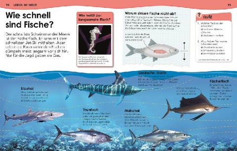 9783831044702 - Sample content