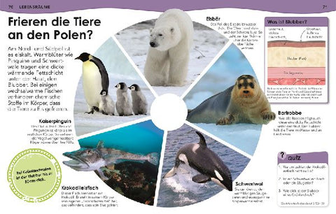 9783831044702 - Sample content