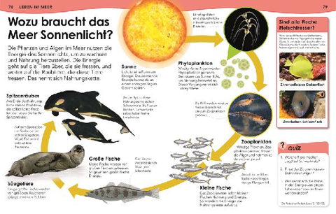 9783831044702 - Sample content