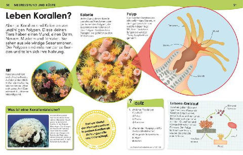 9783831044702 - Sample content