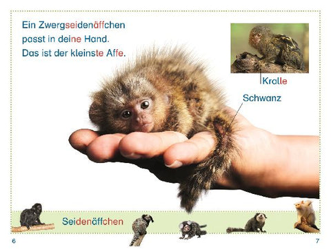 9783831044719 - Sample content