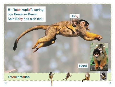 9783831044719 - Sample content