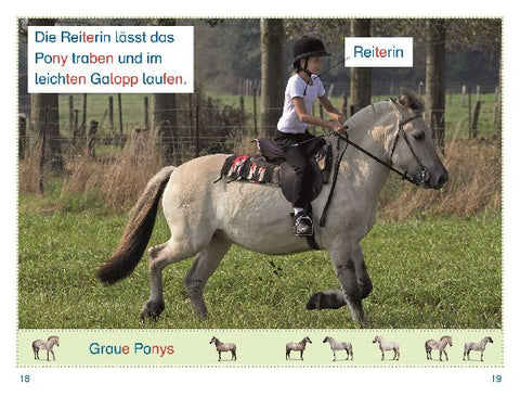 9783831044726 - Sample content