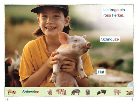 9783831044788 - Sample content