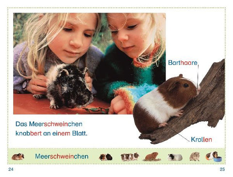 9783831044788 - Sample content