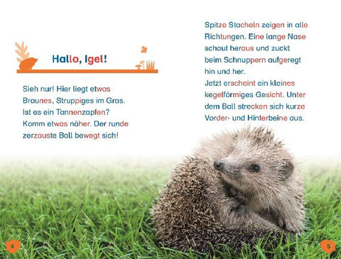 9783831044801 - Sample content