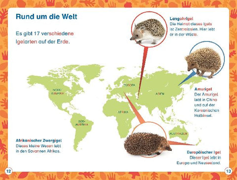 9783831044801 - Sample content