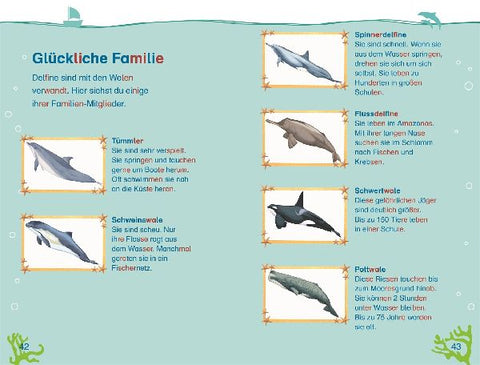 9783831044818 - Sample content