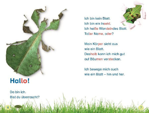 9783831044825 - Sample content