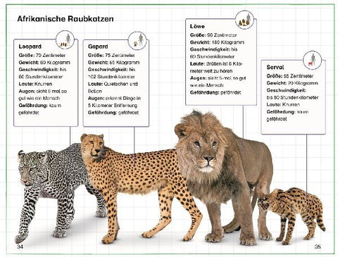 9783831044856 - Sample content