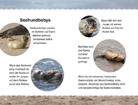 9783831044863 - Sample content