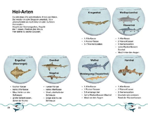 9783831044870 - Sample content