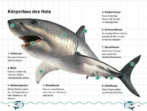 9783831044870 - Sample content