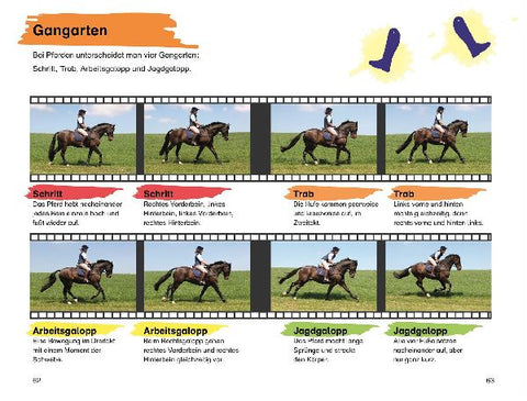 9783831044955 - Sample content