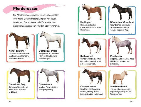 9783831044955 - Sample content