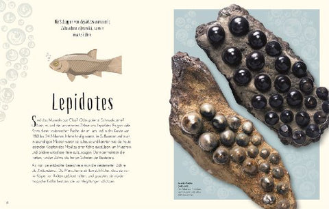 9783831045037 - Sample content