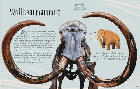 9783831045037 - Sample content