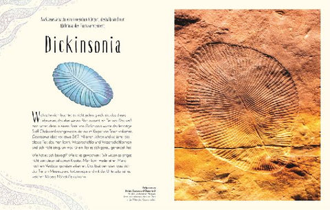 9783831045037 - Sample content