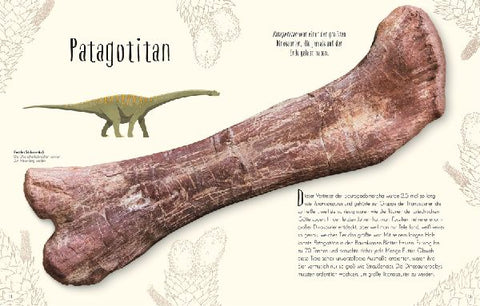 9783831045037 - Sample content