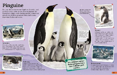 9783831045129 - Sample content