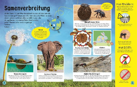 9783831045327 - Sample content