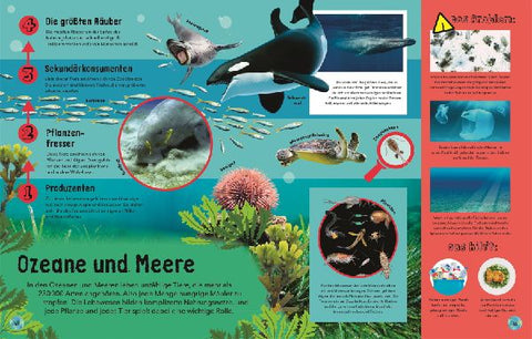 9783831045327 - Sample content