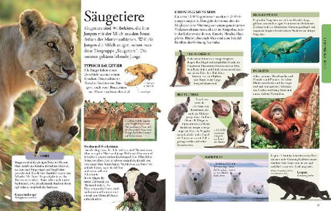 9783831045525 - Sample content