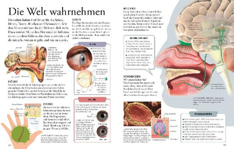 9783831045525 - Sample content