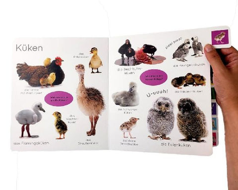 9783831045624 - Sample content