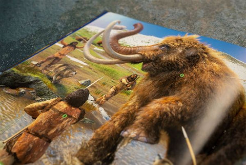 9783831045860 - Sample content