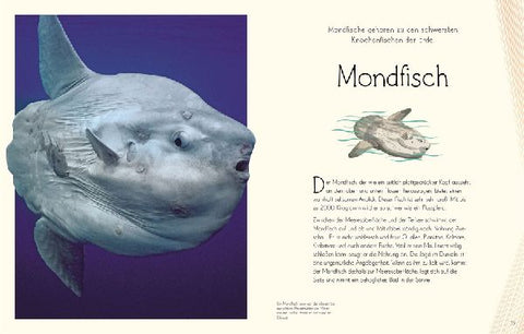 9783831045884 - Sample content