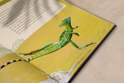 9783831045884 - Sample content