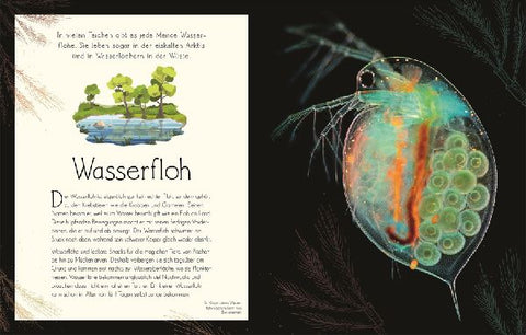 9783831045884 - Sample content