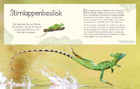 9783831045884 - Sample content