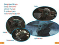 9783831045990 - Sample content