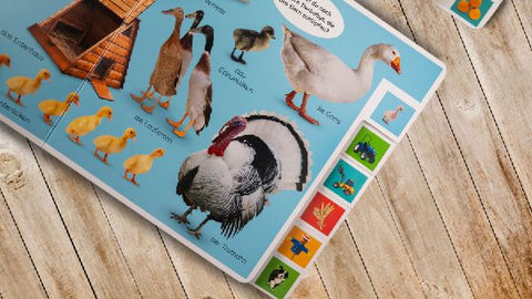 9783831046164 - Sample content