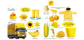 9783831046164 - Sample content