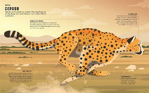 9783831046171 - Sample content