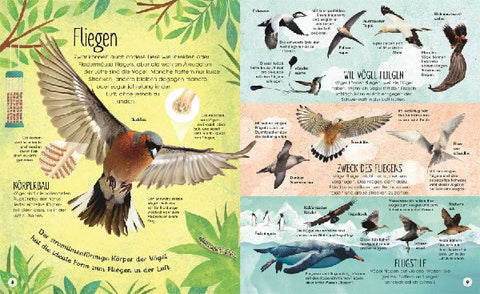 9783831046447 - Sample content